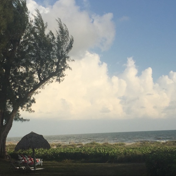 Meet your Posher, Suzanne - Picture 1 of 1